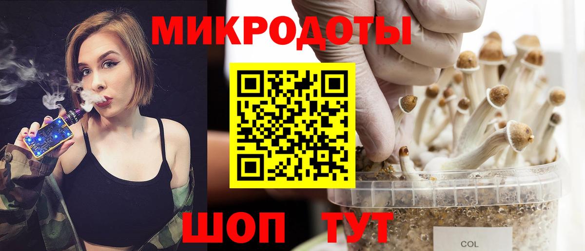 Коркино  Псилоцибиновые грибы Psilocybe  Псилоцибиновые грибы Cubensis  Вход с VPN 