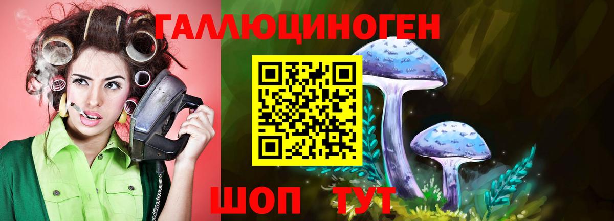 Псилоцибиновые грибы GOLDEN TEACHER Коркино